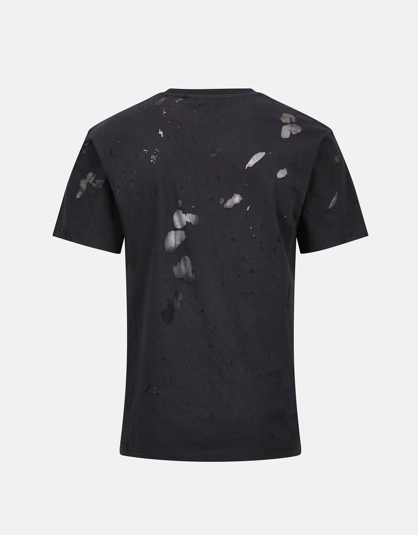 STALLION T SHIRT BLACK